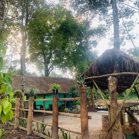 Kailasa Stays Chegāt Exteriör bild