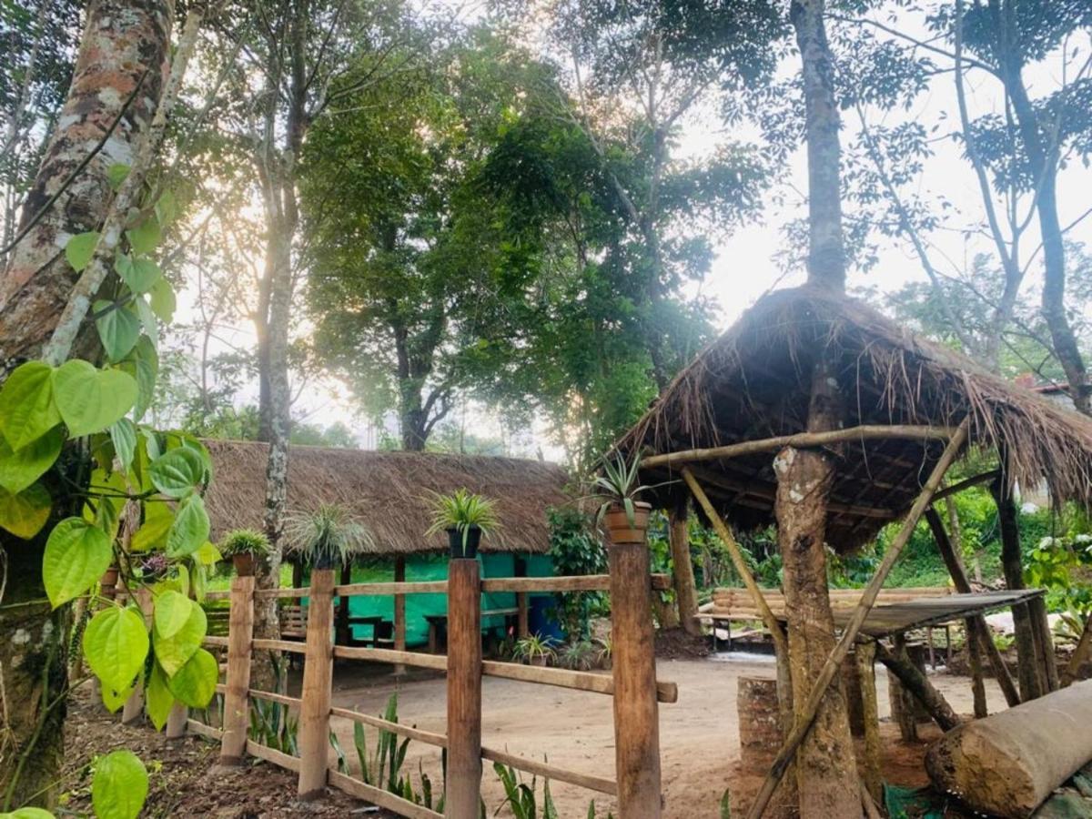 Kailasa Stays Chegāt Exteriör bild